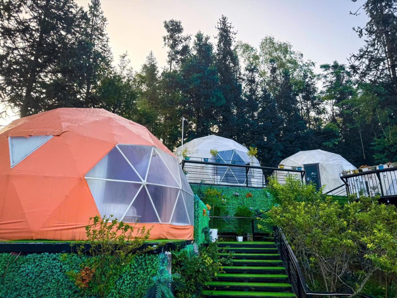 Plum Homestay Dong Van  Eksteriør bilde